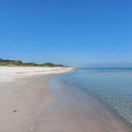 6 Person In Vaeggerlose-by Traum *